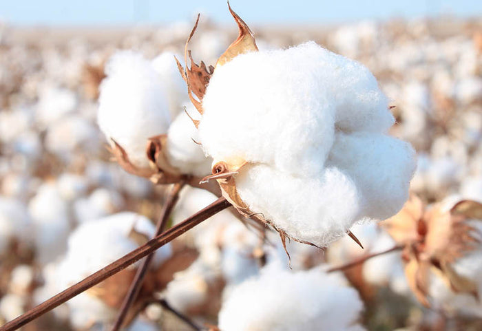 <div>Jen to nejlepší pro vaši pokožku a klidný spánek.</div>