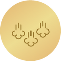 Parní systém SteamHygiene2