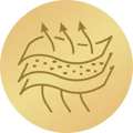 Vynikající prodyšnost